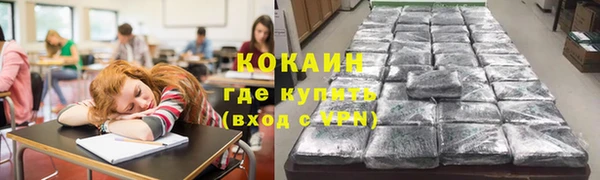 прущие грибы Богородск