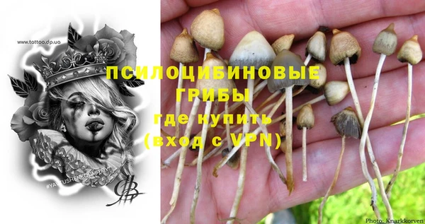ешки Богданович