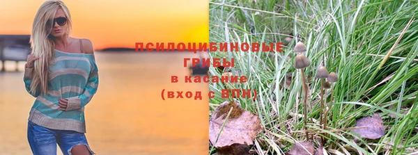 spice Беломорск