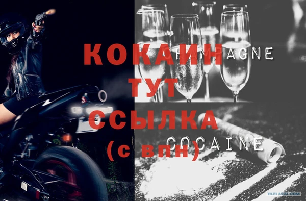 прущие грибы Богородск