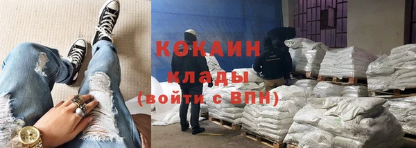 прущие грибы Богородск