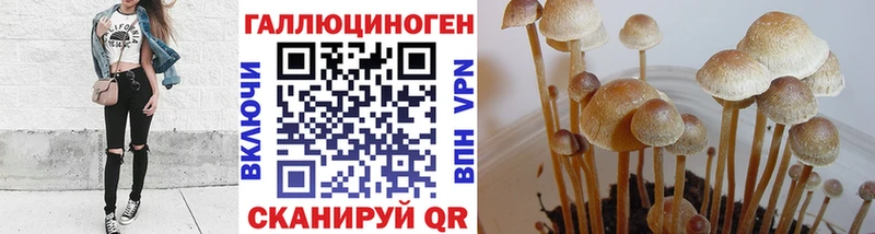 shop телеграм  Борисоглебск  Псилоцибиновые грибы прущие грибы 